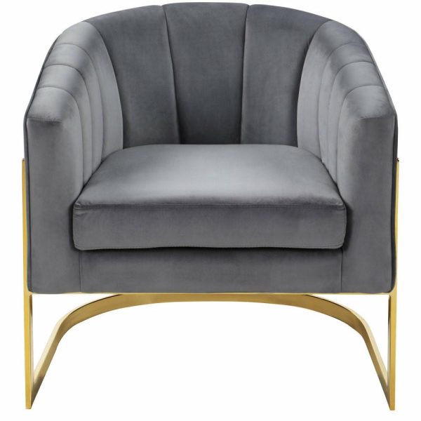 Chairs |   Carter Velvet Upholstered Accent Chair, Gray Chairs Chairs